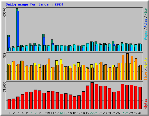 Daily usage for January 2024