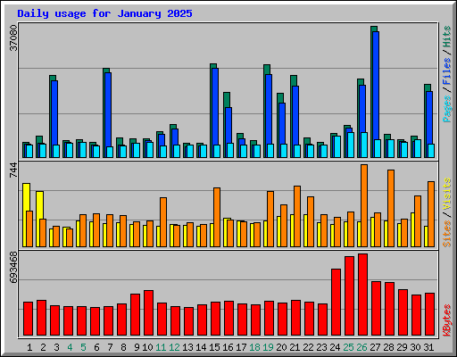 Daily usage for January 2025