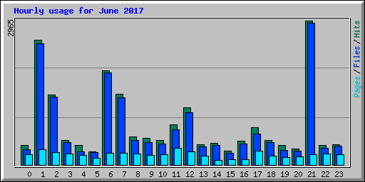 Hourly usage for June 2017