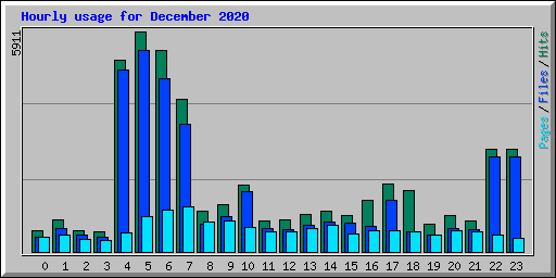 Hourly usage for December 2020