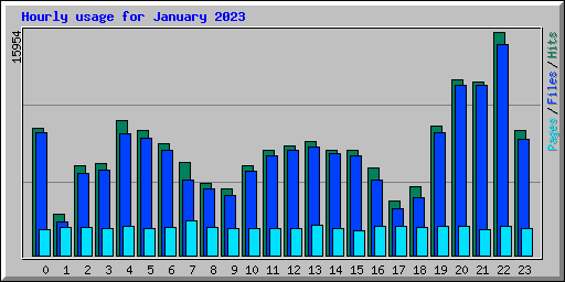 Hourly usage for January 2023