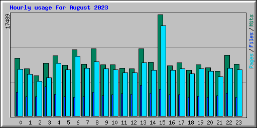 Hourly usage for August 2023
