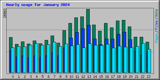 Hourly usage for January 2024