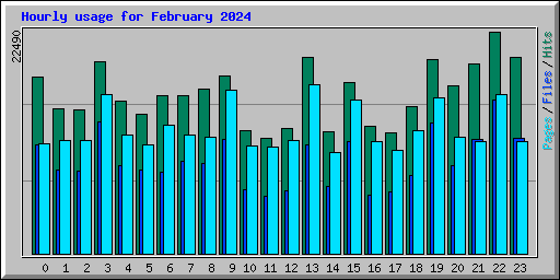 Hourly usage for February 2024