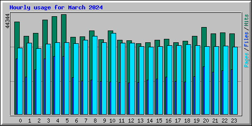 Hourly usage for March 2024
