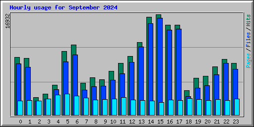 Hourly usage for September 2024