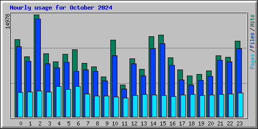 Hourly usage for October 2024