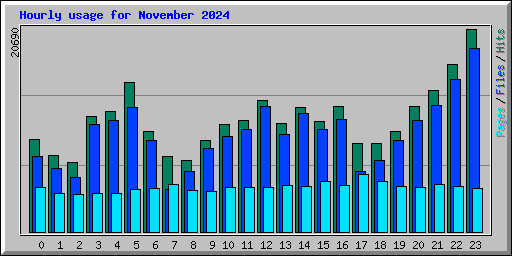 Hourly usage for November 2024