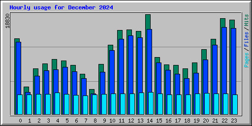 Hourly usage for December 2024