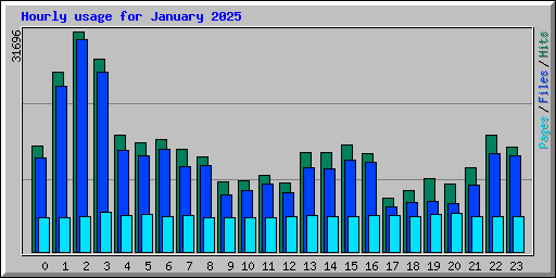 Hourly usage for January 2025