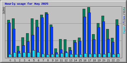 Hourly usage for May 2025