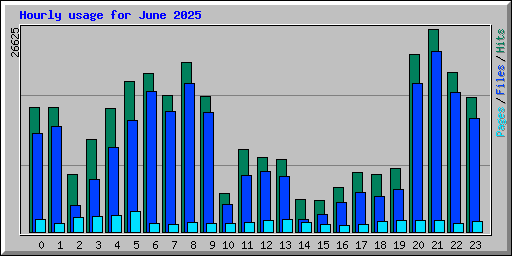 Hourly usage for June 2025
