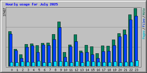Hourly usage for July 2025