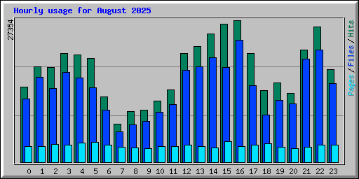 Hourly usage for August 2025