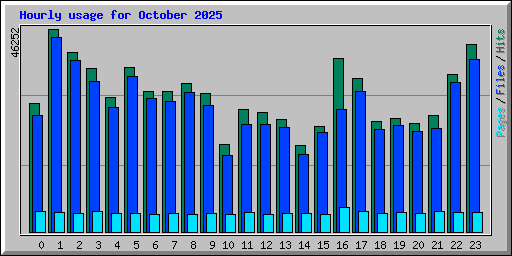 Hourly usage for October 2025