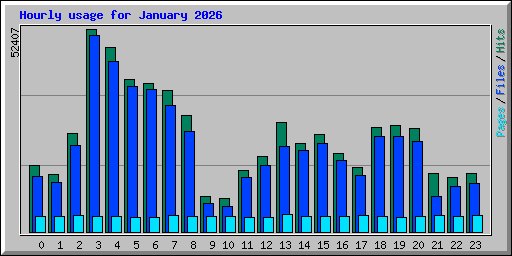 Hourly usage for January 2026