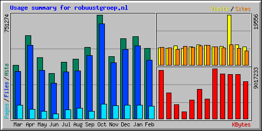 Usage summary for robuustgroep.nl